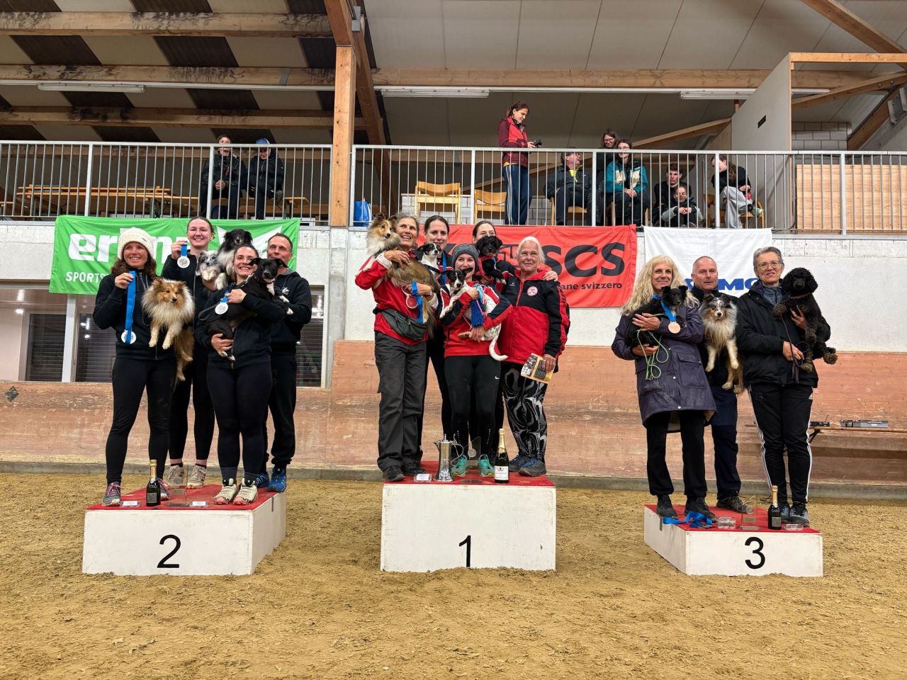 ASMV Medium & Small 2025